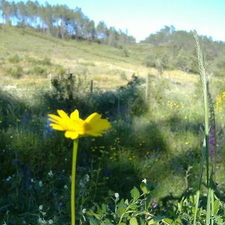 Bed and breakfast Quinta Do Eco *