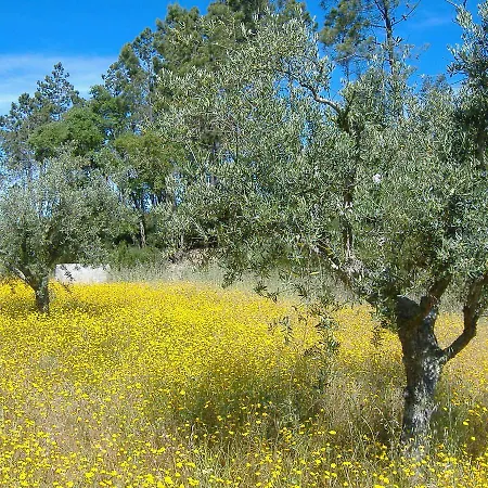 Bed and breakfast Quinta Do Eco