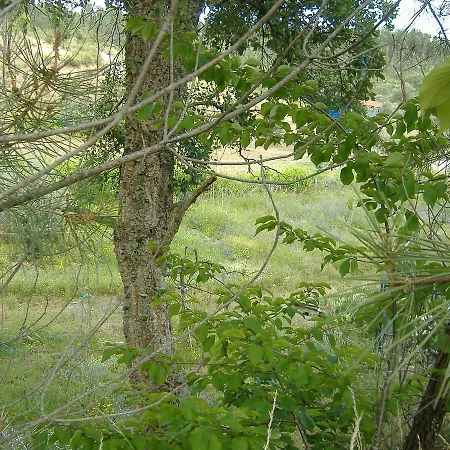 Quinta Do Eco Bed and breakfast *